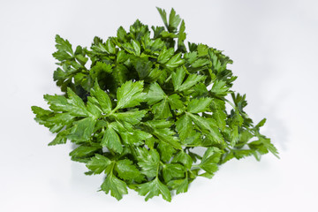 Fresh parsley on a white background. Selective focus.
