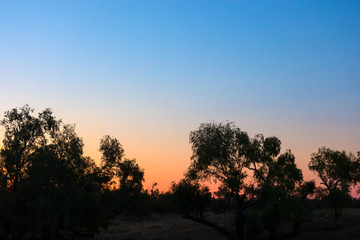 Fototapeta na wymiar Beautiful sunset in Outback Queensland
