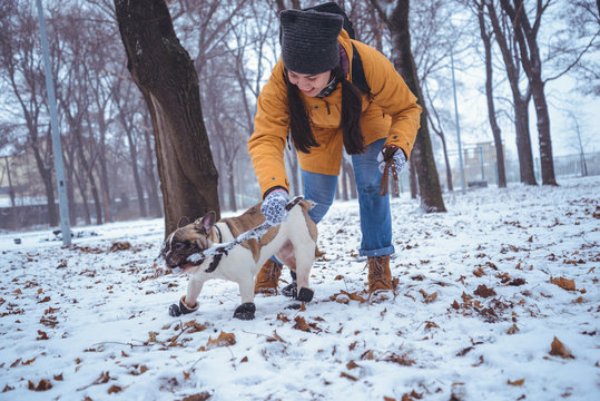 woman playing with french bulldog in winter park