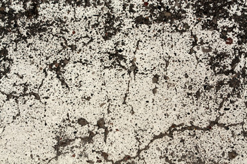 Grungy painted asphalt texture.
