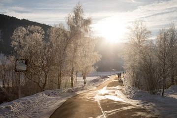 Spazierweg im Winter, Abendsonne