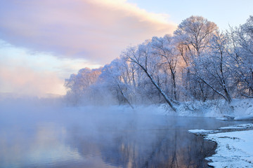 amazing landscape with frozen snow-covered trees in winter morning 
