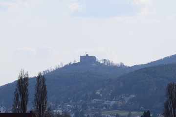 Mandelblüte in Gimmeldingenn