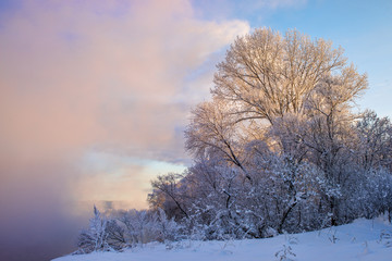 amazing landscape with frozen snow-covered trees in winter morning 
