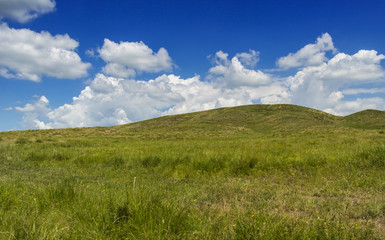 Beautiful summer steppe. Blue sky with clouds. Green landscape