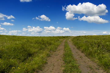 Steppe road. Beautiful steppe background. Green landscape