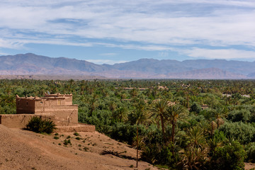The palmeriaie (oasis) of Skoura