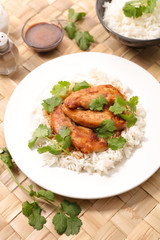 chicken teriyaki and rice