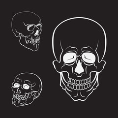Fototapeta premium Skull vector set. White skulls collection