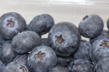 Blueberries Close Up 3
