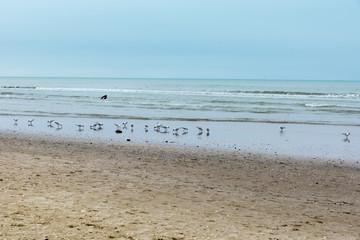 Fototapeta premium Rimini beach in winter