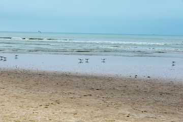 Rimini beach in winter