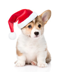 Pembroke Welsh Corgi puppy with red christmas hat sitting in front view. isolated on white background