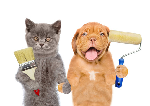 Funny puppy and kitten with  paint roller and paint brush. isolated on white background
