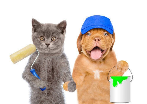Funny puppy in blue hat with paint bucket and kitten with  paint roller. isolated on white background