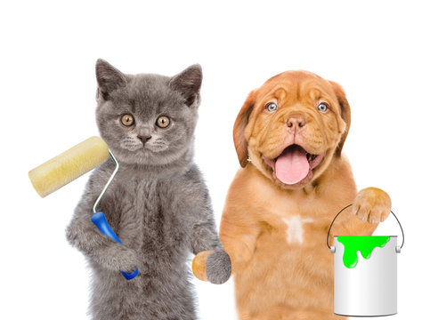 Funny puppy and kitten with  paint roller and  paint bucket. isolated on white background