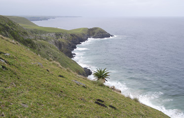 Wild Coast, Eastern Cape, SouthAfrica