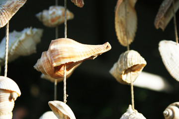 The shell wall hanging mobile