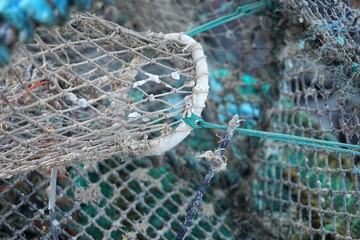 Macro closeup of a prawn trap