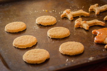 Cookies on a Baking Plate
