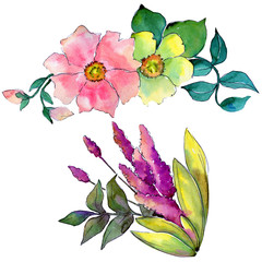 Tropical flower in a watercolor style isolated. Aquarelle wild flower for background, texture, wrapper pattern, frame or border.