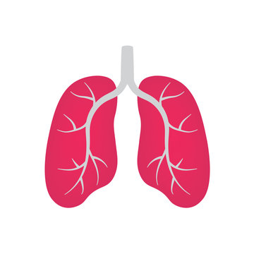lungs icon- vector illustration
