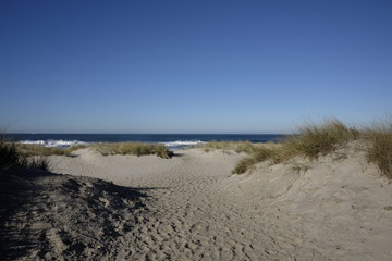 Fototapeta na wymiar praia de costa nova in portugal