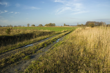 Country road, dry grass and green field