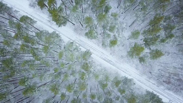 Aerial view on road in the winter snow fores. Scenic winter landscape