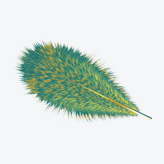 Feather exotic bird green - yellow - realistic - isolated on white background - vector art illustration