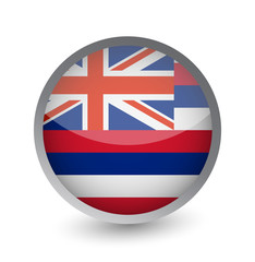 Hawaii Flag Round Glossy Icon