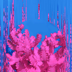 Pink Cactus. Contemporary Art. Glitch Mood. Minimal design fashion