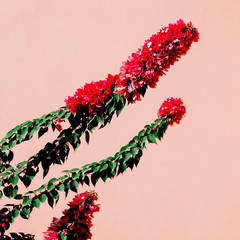 Plant Lover. Plant on Pink. Tropical Flower mood