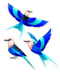 Stylized Birds - Blue-bellied Roller