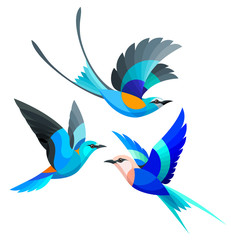 Stylized Birds - Abyssinian, European and Blue-bellied Roller in flight