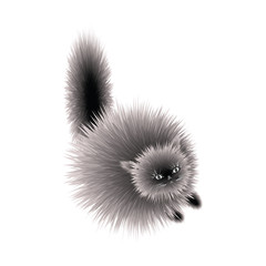 Kitten fluffy gray cute - isolated on white background - art creative vector illustration