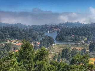 Kodai Lake View