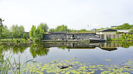 Fototapeta premium Kinderdijk, Holanda, Paíse Bajos
