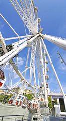 Feria en el barrio de la Barceloneta, Barcelona, Catalunya, España