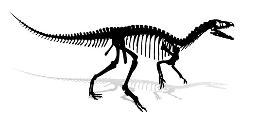 Скелет динозавра.