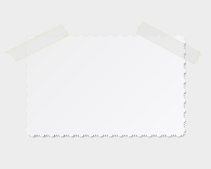 vector realistic photo with the ornament on the edge of the fixed transparent tape