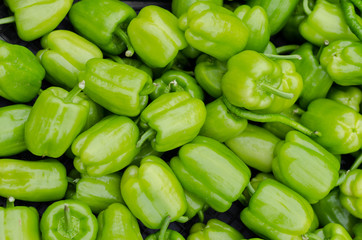 Freshly picked green bell peppers on display at the market