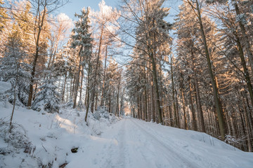 Some snowy streets in black forest, Germany