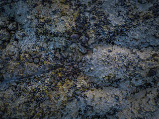 Aerial view of frost on volcanic rock in Iceland 