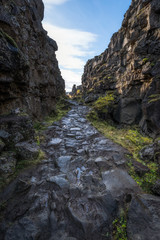 Path through Thingvellir National Park 
