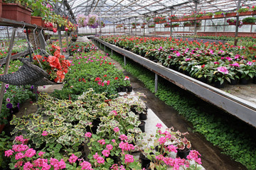 Field with spring and summer flowers and wooden hanging pots with begonias