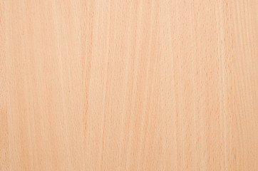 Fototapeta premium Texture under the tree is light