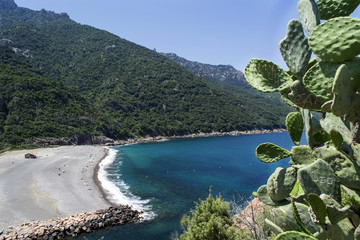 an empty pebble beach between the cacti mountains on the island of Corsica