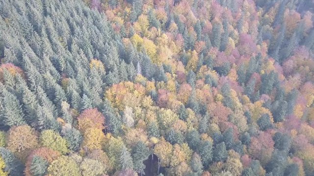 Flying over autumn carpathian mountains near by Vorohta, Ukraine