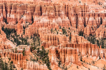 Hoodoos of Bryce Canyon National Park Utah